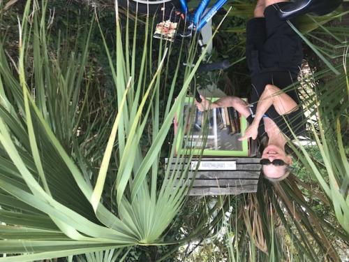 Little Free Libraries - St. Simons.jpg