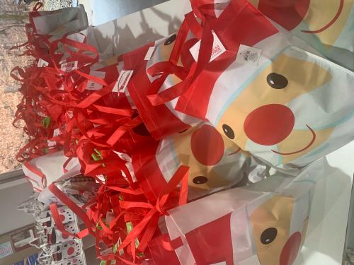 BIAB Christmas Bags 1.jpeg