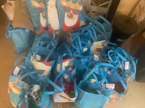 BIAB Christmas Bags 2.jpeg