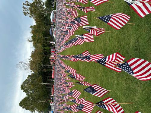 9 11 Memorial Flags 2.jpg